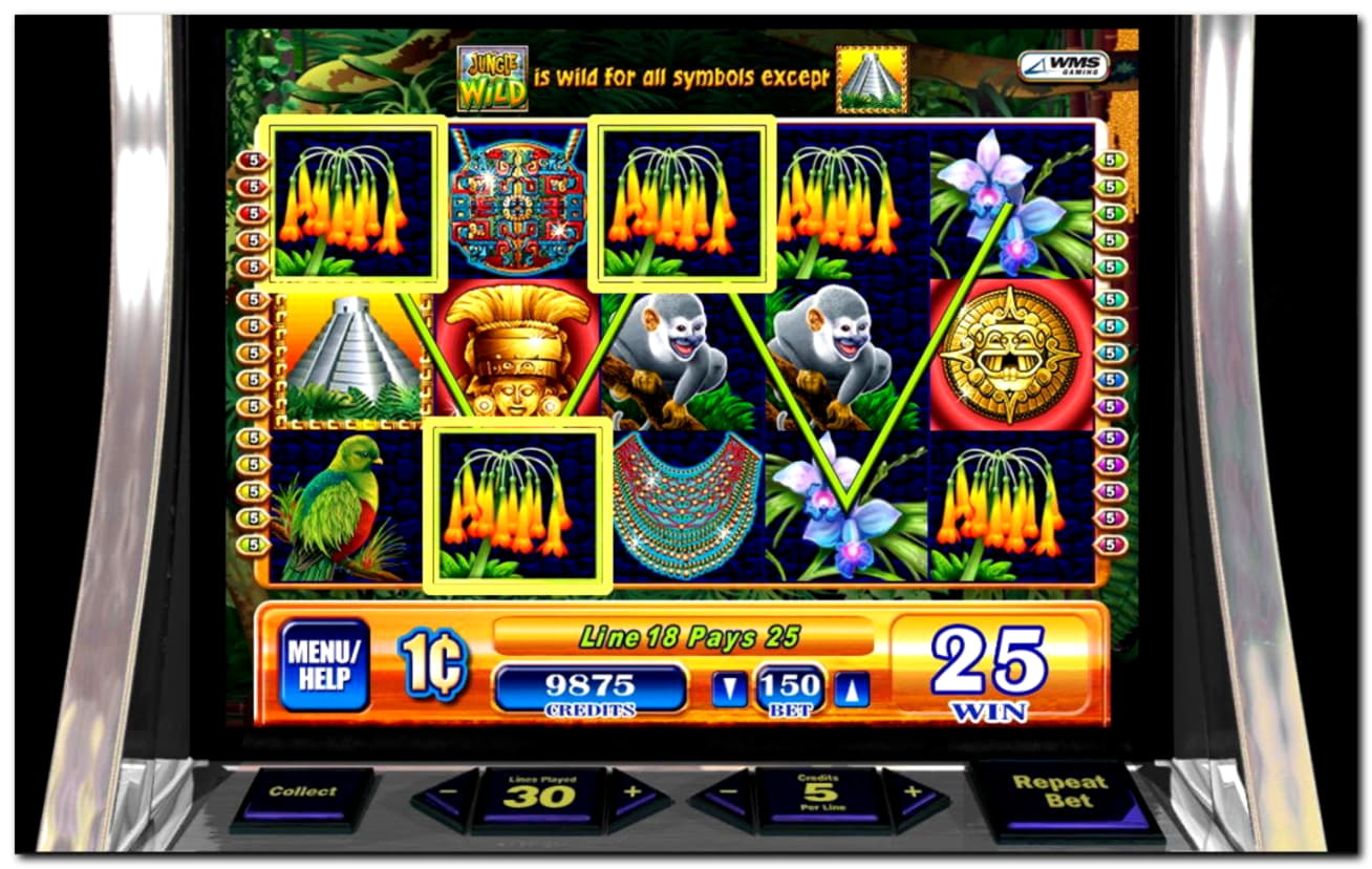 $905 Daily freeroll slot tournament at Red Stag Casino